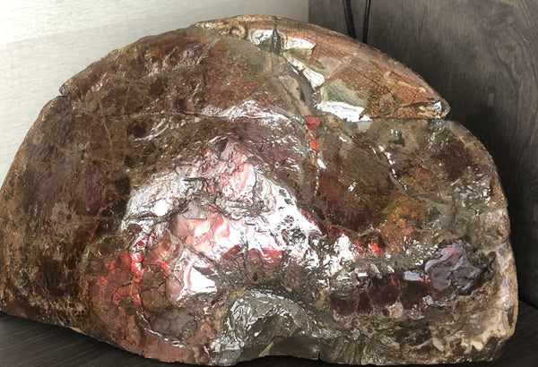 18" Double-Sided Ammolite Display Stone  Huge Fossil Section Piece 178mm 18" Collector Stone Home Décor  - CS-219***アンモライト 超大型両面　コレクターストーン