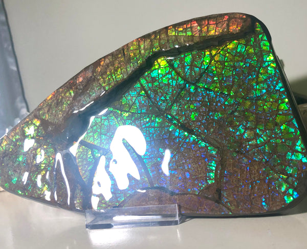 Ammolite Huge Display Stone Hand Specimen 210x110x20mm Dragon Skin Pattern  Collector GemstoneCS-203  ***FREE SHIPPING****アンモライト　コレクターストーン