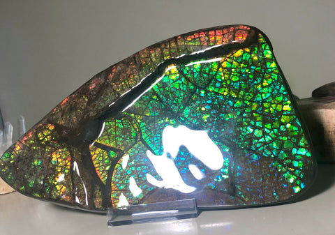 Ammolite Huge Display Stone Hand Specimen 210x110x20mm Dragon Skin Pattern  Collector GemstoneCS-203  ***FREE SHIPPING****アンモライト　コレクターストーン