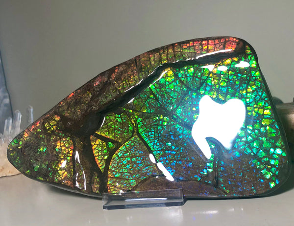 Ammolite Huge Display Stone Hand Specimen 210x110x20mm Dragon Skin Pattern  Collector GemstoneCS-203  ***FREE SHIPPING****アンモライト　コレクターストーン