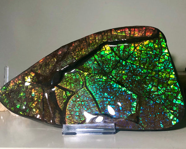 Ammolite Huge Display Stone Hand Specimen 210x110x20mm Dragon Skin Pattern  Collector GemstoneCS-203  ***FREE SHIPPING****アンモライト　コレクターストーン