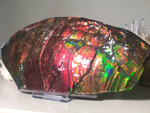 HUGE Collector Stone Double Sided Specimen - CS-202  ***FREE SHIPPING****アンモライト　コレクターストーン