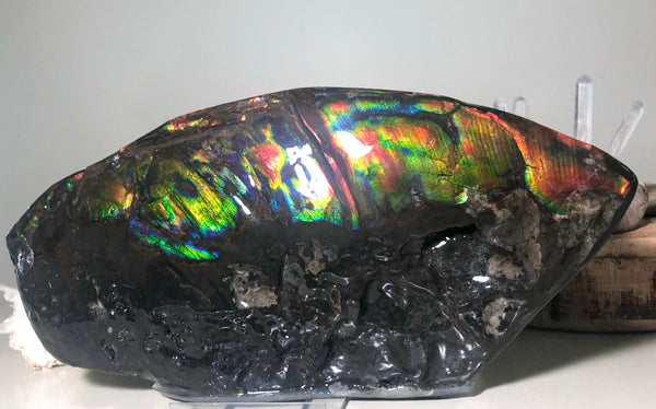 HUGE Collector Stone Double Sided Specimen - CS-202  ***FREE SHIPPING****アンモライト　コレクターストーン