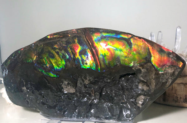 HUGE Collector Stone Double Sided Specimen - CS-202  ***FREE SHIPPING****アンモライト　コレクターストーン