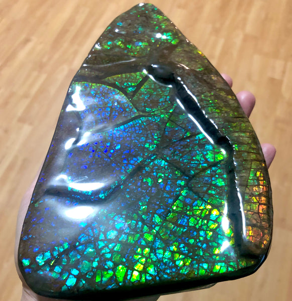 Ammolite Huge Display Stone Hand Specimen 210x110x20mm Dragon Skin Pattern  Collector GemstoneCS-203  ***FREE SHIPPING****アンモライト　コレクターストーン