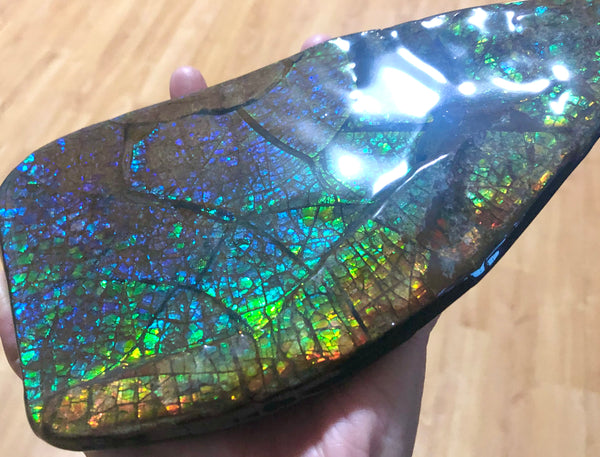 Ammolite Huge Display Stone Hand Specimen 210x110x20mm Dragon Skin Pattern  Collector GemstoneCS-203  ***FREE SHIPPING****アンモライト　コレクターストーン