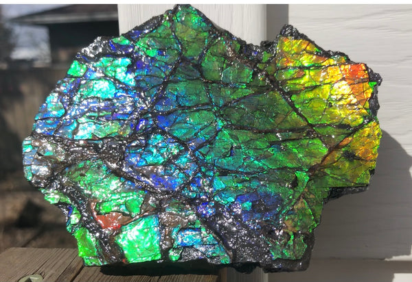 Rainbow Colors Naturally Buffulo Shaped  Collector Gemstone Hand Specimen - CS-212***FREE SHIPPING****アンモライト　コレクターストーン