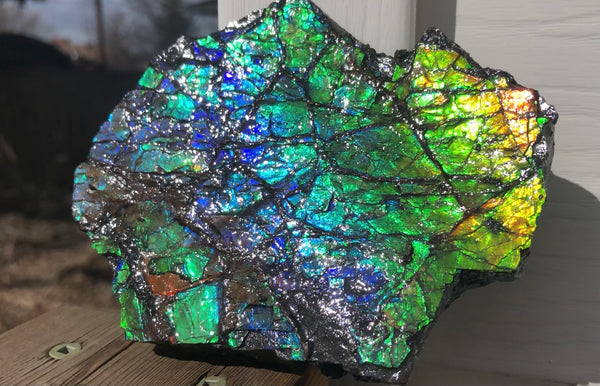 Rainbow Colors Naturally Buffulo Shaped  Collector Gemstone Hand Specimen - CS-212***FREE SHIPPING****アンモライト　コレクターストーン