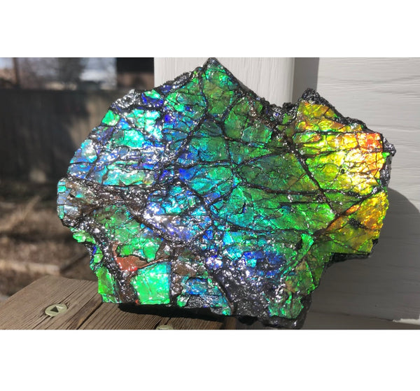 Rainbow Colors Naturally Buffulo Shaped  Collector Gemstone Hand Specimen - CS-212***FREE SHIPPING****アンモライト　コレクターストーン