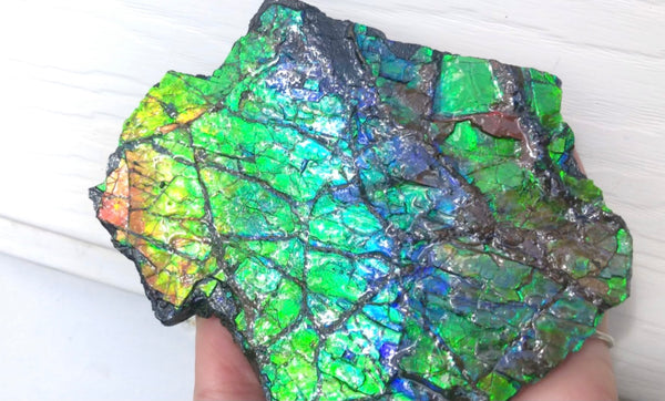 Rainbow Colors Naturally Buffulo Shaped  Collector Gemstone Hand Specimen - CS-212***FREE SHIPPING****アンモライト　コレクターストーン