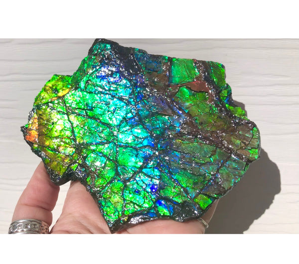 Rainbow Colors Naturally Buffulo Shaped  Collector Gemstone Hand Specimen - CS-212***FREE SHIPPING****アンモライト　コレクターストーン