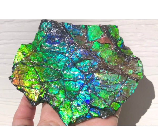 Rainbow Colors Naturally Buffulo Shaped  Collector Gemstone Hand Specimen - CS-212***FREE SHIPPING****アンモライト　コレクターストーン