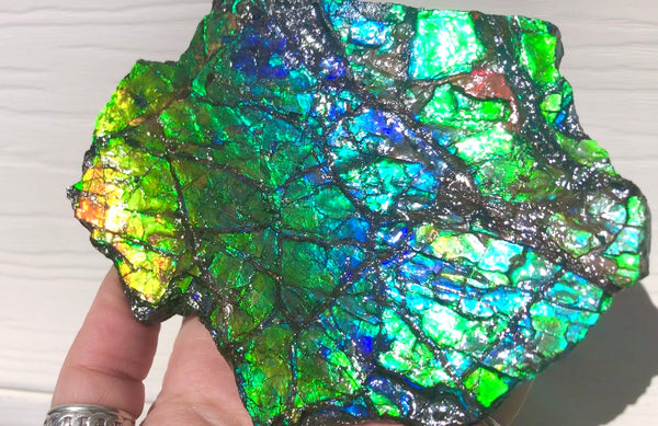 Rainbow Colors Naturally Buffulo Shaped  Collector Gemstone Hand Specimen - CS-212***FREE SHIPPING****アンモライト　コレクターストーン