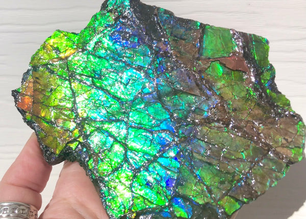 Rainbow Colors Naturally Buffulo Shaped  Collector Gemstone Hand Specimen - CS-212***FREE SHIPPING****アンモライト　コレクターストーン