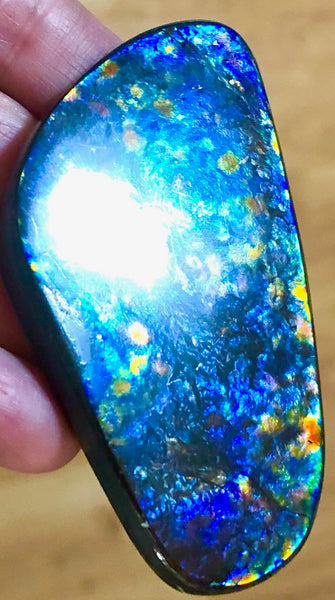 68 x36x6㎜ Natural  Free Form . FFNT 137 Ammolite  Floral BEAUTY FREE SHIPPING! ナチュラル　ルース　アンモライト フリーフォーム