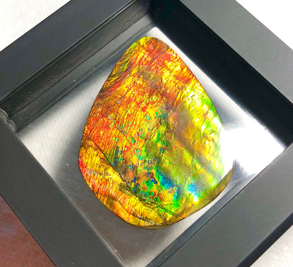70 x 52mm 　Huge Imperial -Rainbow Colours Collector Stone - IMP-62  Double-Sided ! 両面 コレクション