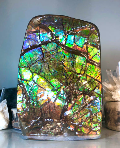 RARE  Ammolite Huge Display Stone Hand Specimen 155x95x36mm Rainbow Colors Dragon Skin Pattern  Collector GemstoneCS-206  アンモライト　コレクターストーン