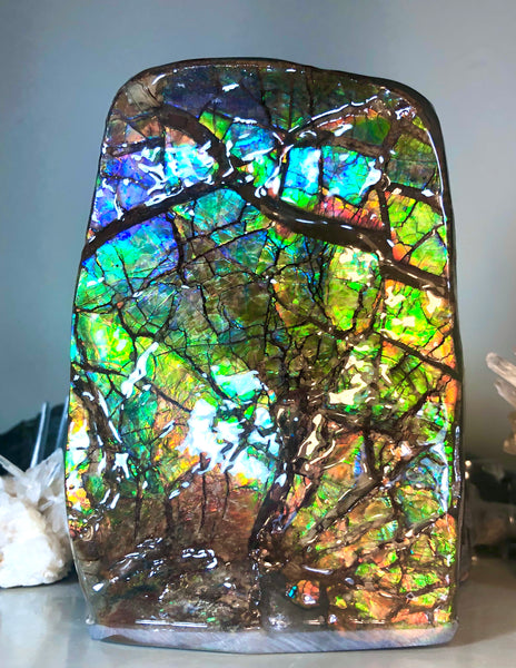 RARE  Ammolite Huge Display Stone Hand Specimen 155x95x36mm Rainbow Colors Dragon Skin Pattern  Collector GemstoneCS-206  アンモライト　コレクターストーン