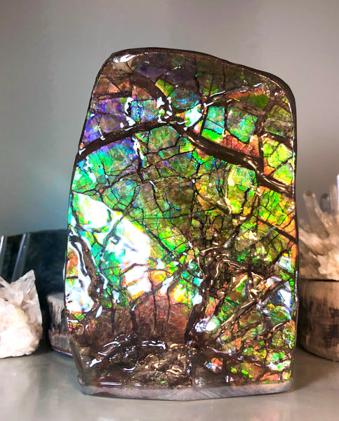 RARE  Ammolite Huge Display Stone Hand Specimen 155x95x36mm Rainbow Colors Dragon Skin Pattern  Collector GemstoneCS-206  アンモライト　コレクターストーン