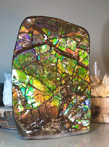 RARE  Ammolite Huge Display Stone Hand Specimen 155x95x36mm Rainbow Colors Dragon Skin Pattern  Collector GemstoneCS-206  アンモライト　コレクターストーン