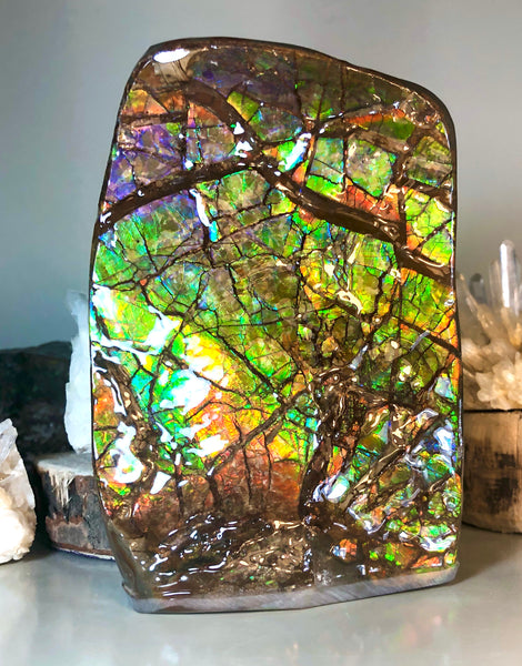 RARE  Ammolite Huge Display Stone Hand Specimen 155x95x36mm Rainbow Colors Dragon Skin Pattern  Collector GemstoneCS-206  アンモライト　コレクターストーン