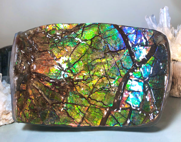 RARE  Ammolite Huge Display Stone Hand Specimen 155x95x36mm Rainbow Colors Dragon Skin Pattern  Collector GemstoneCS-206  アンモライト　コレクターストーン