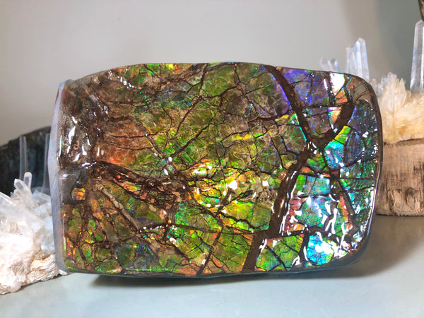 RARE  Ammolite Huge Display Stone Hand Specimen 155x95x36mm Rainbow Colors Dragon Skin Pattern  Collector GemstoneCS-206  アンモライト　コレクターストーン