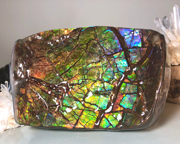 RARE  Ammolite Huge Display Stone Hand Specimen 155x95x36mm Rainbow Colors Dragon Skin Pattern  Collector GemstoneCS-206  アンモライト　コレクターストーン