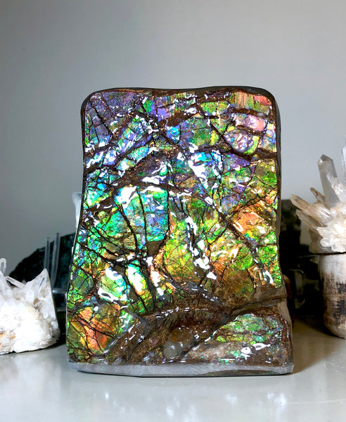 RARE  Ammolite Huge Display Stone Hand Specimen 150x100x41mm Rainbow Colors Dragon Skin Pattern Hints of Pink Collector GemstoneCS-205  アンモライト　コレクターストーン