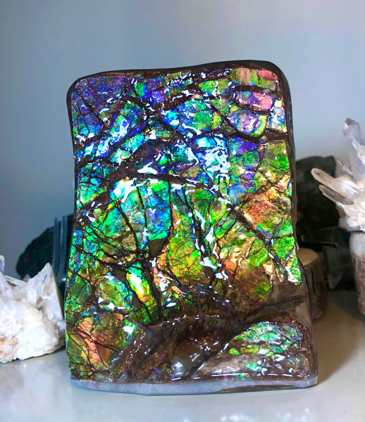 RARE  Ammolite Huge Display Stone Hand Specimen 150x100x41mm Rainbow Colors Dragon Skin Pattern Hints of Pink Collector GemstoneCS-205  アンモライト　コレクターストーン
