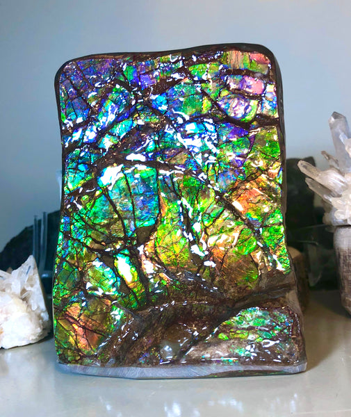 RARE  Ammolite Huge Display Stone Hand Specimen 150x100x41mm Rainbow Colors Dragon Skin Pattern Hints of Pink Collector GemstoneCS-205  アンモライト　コレクターストーン