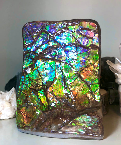 RARE  Ammolite Huge Display Stone Hand Specimen 150x100x41mm Rainbow Colors Dragon Skin Pattern Hints of Pink Collector GemstoneCS-205  アンモライト　コレクターストーン