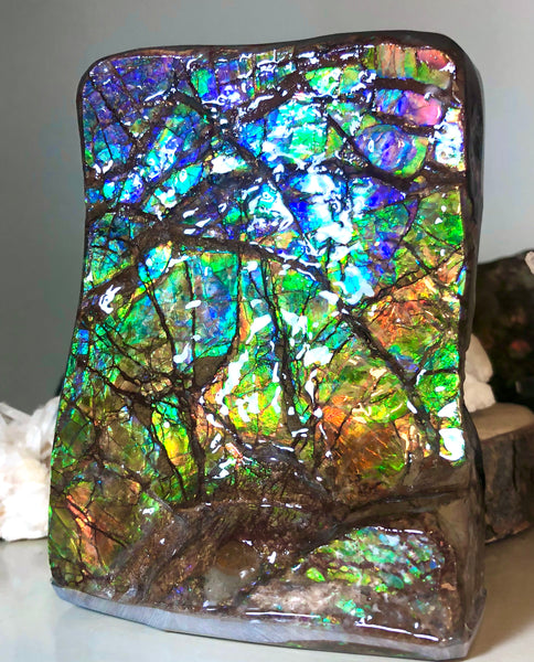 RARE  Ammolite Huge Display Stone Hand Specimen 150x100x41mm Rainbow Colors Dragon Skin Pattern Hints of Pink Collector GemstoneCS-205  アンモライト　コレクターストーン