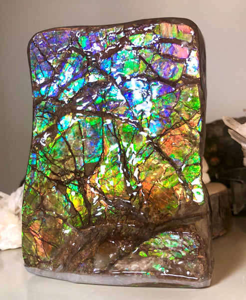 RARE  Ammolite Huge Display Stone Hand Specimen 150x100x41mm Rainbow Colors Dragon Skin Pattern Hints of Pink Collector GemstoneCS-205  アンモライト　コレクターストーン