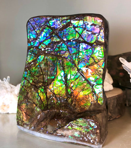 RARE  Ammolite Huge Display Stone Hand Specimen 150x100x41mm Rainbow Colors Dragon Skin Pattern Hints of Pink Collector GemstoneCS-205  アンモライト　コレクターストーン