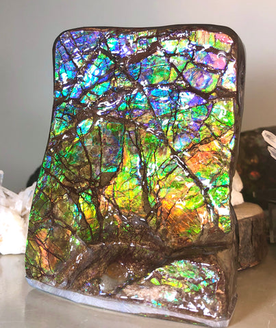 RARE  Ammolite Huge Display Stone Hand Specimen 150x100x41mm Rainbow Colors Dragon Skin Pattern Hints of Pink Collector GemstoneCS-205  アンモライト　コレクターストーン