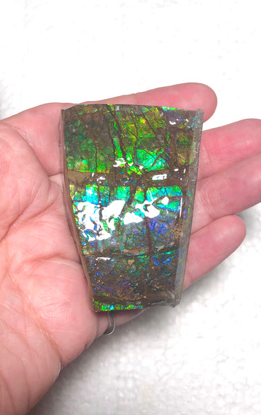 Ammolite Display  63x40mmx23mm - RS-15 Rough Stone Ammlite  アンモライト 原石ラフ