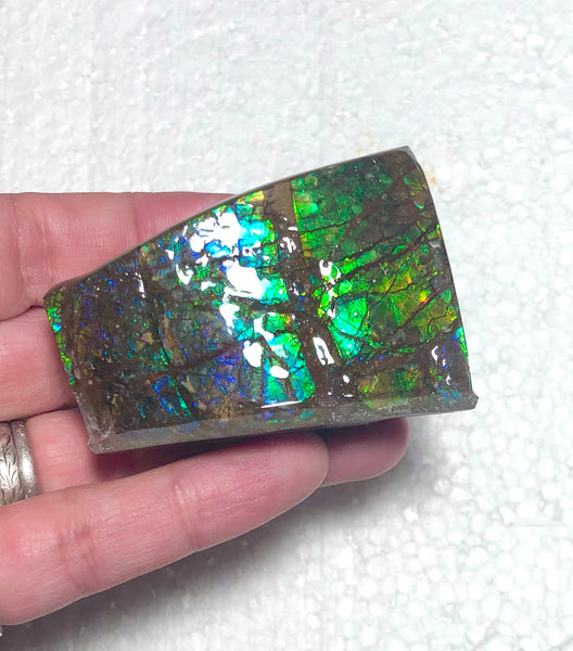 Ammolite Display  63x40mmx23mm - RS-15 Rough Stone Ammlite  アンモライト 原石ラフ