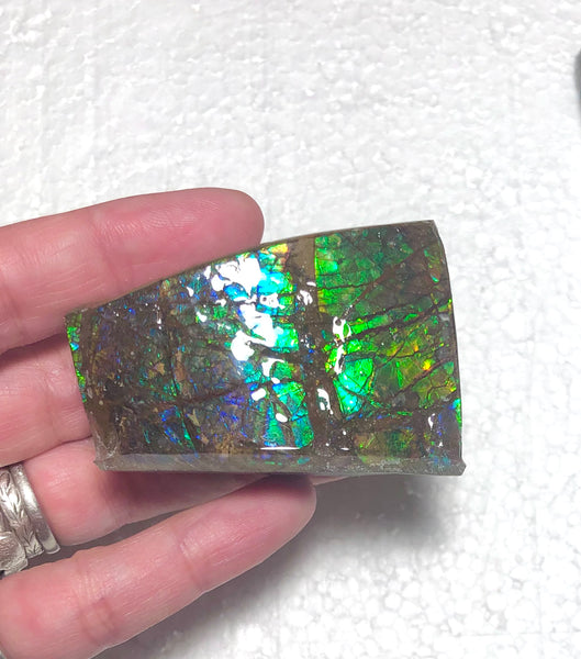 Ammolite Display  63x40mmx23mm - RS-15 Rough Stone Ammlite  アンモライト 原石ラフ