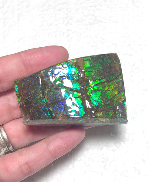 Ammolite Display  63x40mmx23mm - RS-15 Rough Stone Ammlite  アンモライト 原石ラフ