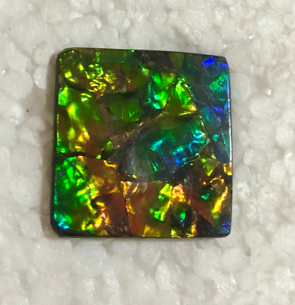Suture Gem Beauty  35x35 mm  Natural  Free Form . FFNT 146 Ammolite  ナチュラル　ルース　アンモライト