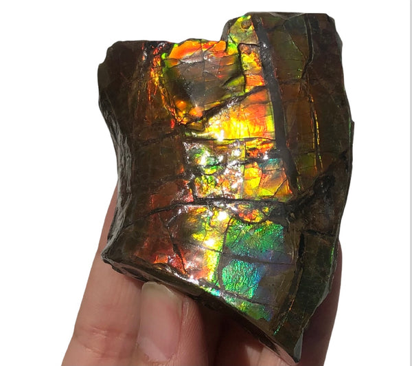 RESERVED for C 2.95" Ammolite  Display Stone, Double Sided , Hand Specimen, Bright Red Orange Green and Blue ,Ammonite, Fengshui, Metaphysical, Home Decor