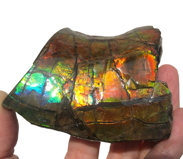 RESERVED for C 2.95" Ammolite  Display Stone, Double Sided , Hand Specimen, Bright Red Orange Green and Blue ,Ammonite, Fengshui, Metaphysical, Home Decor