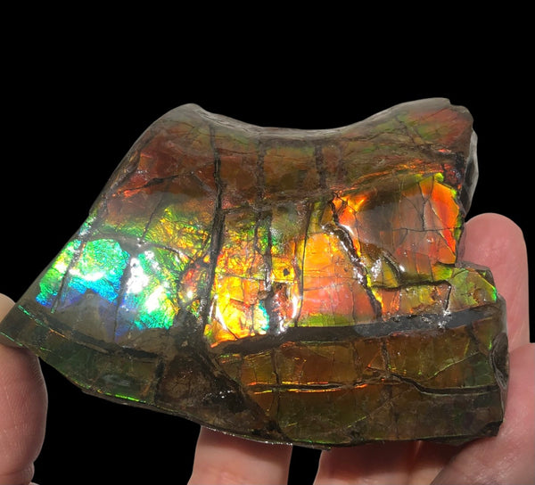 RESERVED for C 2.95" Ammolite  Display Stone, Double Sided , Hand Specimen, Bright Red Orange Green and Blue ,Ammonite, Fengshui, Metaphysical, Home Decor