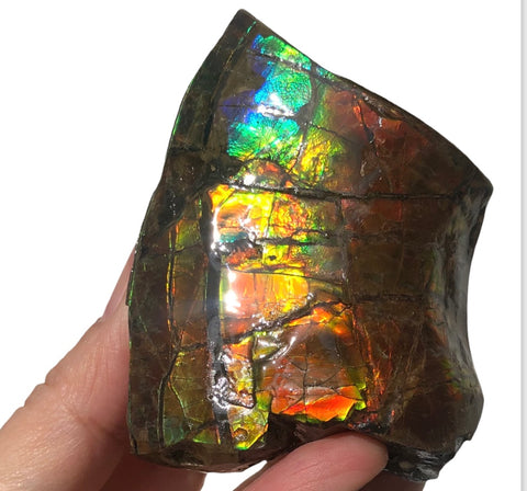 RESERVED for C 2.95" Ammolite  Display Stone, Double Sided , Hand Specimen, Bright Red Orange Green and Blue ,Ammonite, Fengshui, Metaphysical, Home Decor