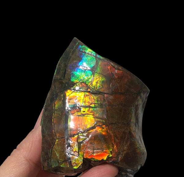 RESERVED for C 2.95" Ammolite  Display Stone, Double Sided , Hand Specimen, Bright Red Orange Green and Blue ,Ammonite, Fengshui, Metaphysical, Home Decor