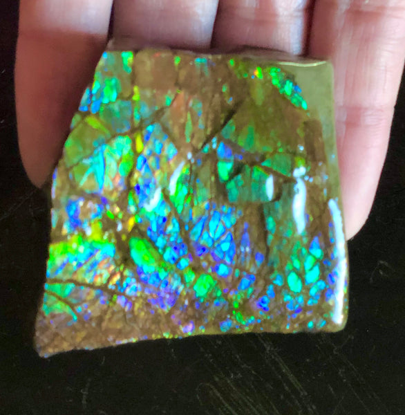 Ammolite Display   63x57mmx22mm - RS-16 Rough Stone Ammlite  アンモライト 原石ラフ