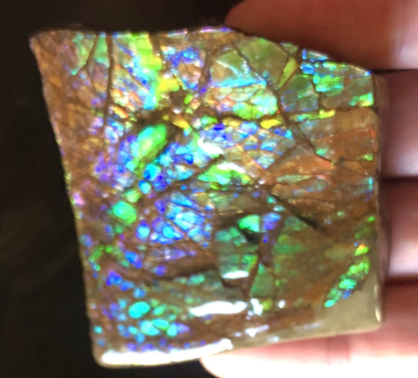 Ammolite Display   63x57mmx22mm - RS-16 Rough Stone Ammlite  アンモライト 原石ラフ