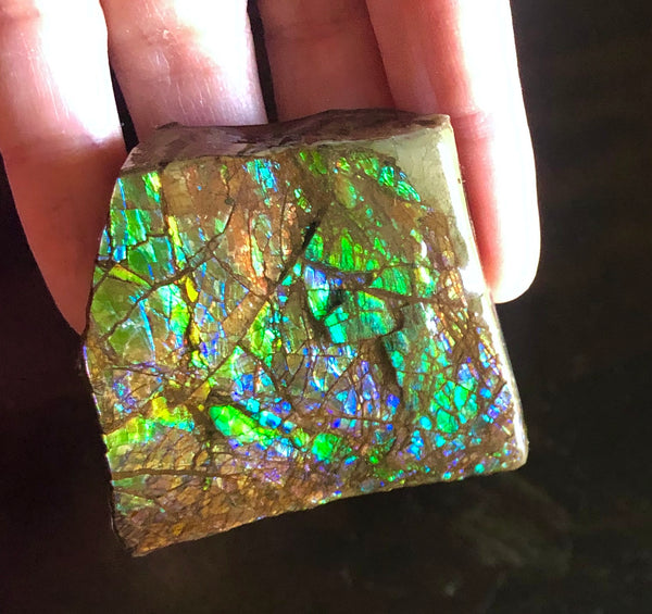 Ammolite Display   63x57mmx22mm - RS-16 Rough Stone Ammlite  アンモライト 原石ラフ