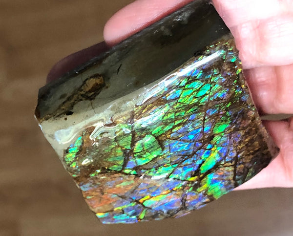 Ammolite Display   63x57mmx22mm - RS-16 Rough Stone Ammlite  アンモライト 原石ラフ